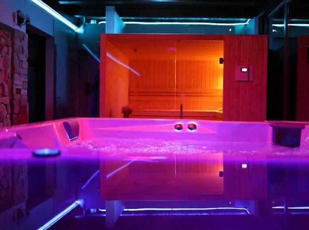 Hanu Lui Gica Spa 사투마레 외부 사진